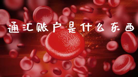通汇账户是什么东西_https://wap.lxcailiao.com_金融监管_第1张