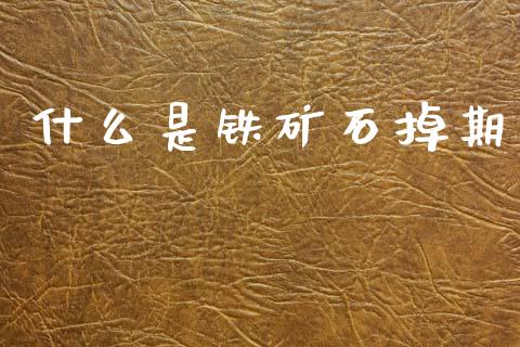什么是铁矿石掉期_https://wap.lxcailiao.com_融资担保_第1张