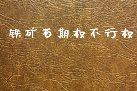 铁矿石期权不行权_https://wap.lxcailiao.com_股权投资_第1张