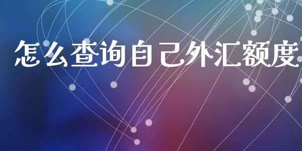 怎么查询自己外汇额度_https://wap.lxcailiao.com_股权投资_第1张