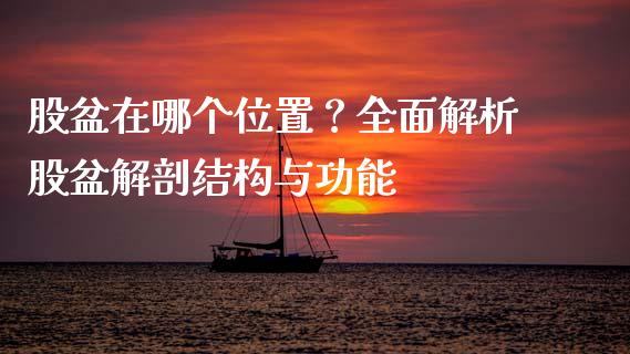 股盆在哪个位置？全面解析股盆解剖结构与功能_https://wap.lxcailiao.com_财务管理_第1张