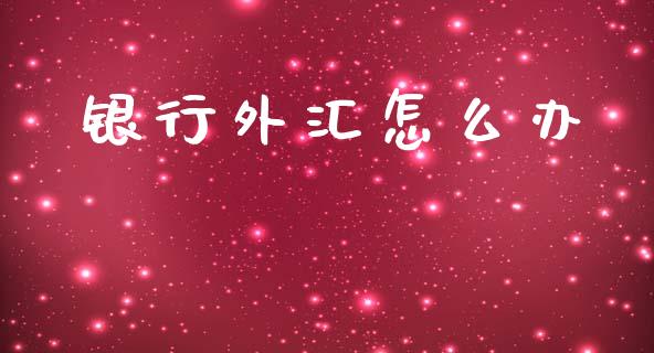 银行外汇怎么办_https://wap.lxcailiao.com_财务管理_第1张