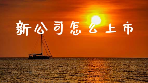 新公司怎么上市_https://wap.lxcailiao.com_财务管理_第1张