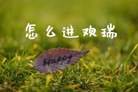 怎么进欢瑞_https://wap.lxcailiao.com_融资担保_第1张