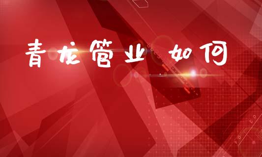 青龙管业 如何_https://wap.lxcailiao.com_财务管理_第1张