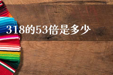 318的53倍是多少_https://wap.lxcailiao.com_金融监管_第1张