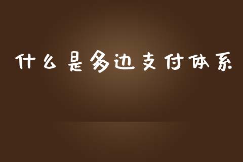 什么是多边支付体系_https://wap.lxcailiao.com_股权投资_第1张