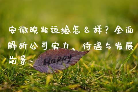 安徽皖能运检怎么样？全面解析公司实力、待遇与发展前景_https://wap.lxcailiao.com_金融监管_第1张