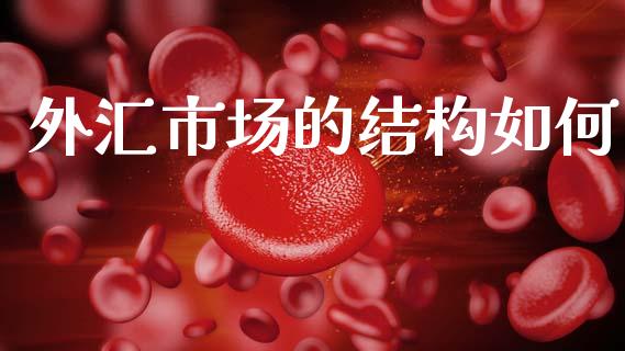 外汇市场的结构如何_https://wap.lxcailiao.com_财务管理_第1张