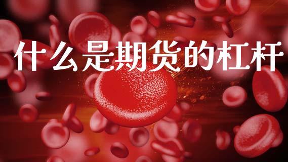 什么是期货的杠杆_https://wap.lxcailiao.com_融资担保_第1张