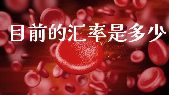 目前的汇率是多少_https://wap.lxcailiao.com_融资担保_第1张