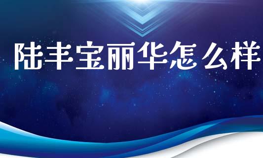 陆丰宝丽华怎么样_https://wap.lxcailiao.com_股权投资_第1张