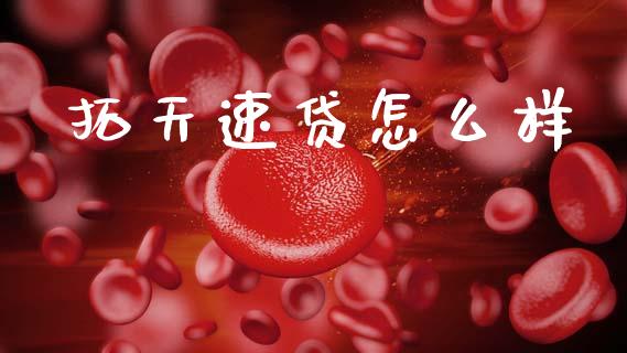 拓天速贷怎么样_https://wap.lxcailiao.com_财务管理_第1张