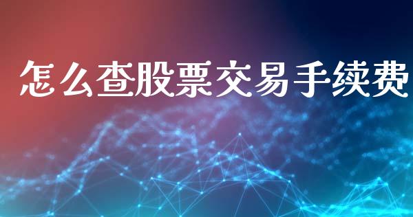 怎么查股票交易手续费_https://wap.lxcailiao.com_股权投资_第1张
