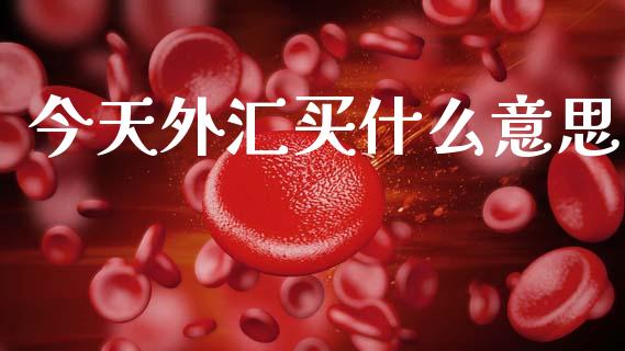 今天外汇买什么意思_https://wap.lxcailiao.com_股权投资_第1张