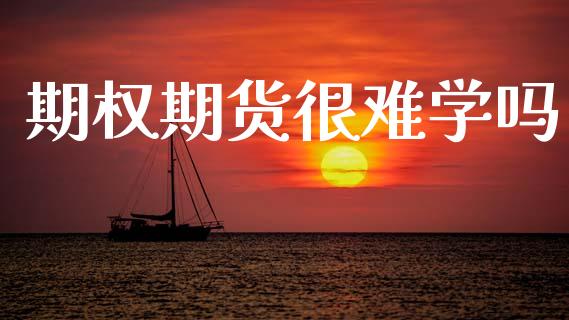 期权期货很难学吗_https://wap.lxcailiao.com_股权投资_第1张