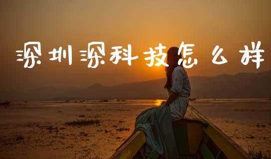 深圳深科技怎么样_https://wap.lxcailiao.com_融资担保_第1张