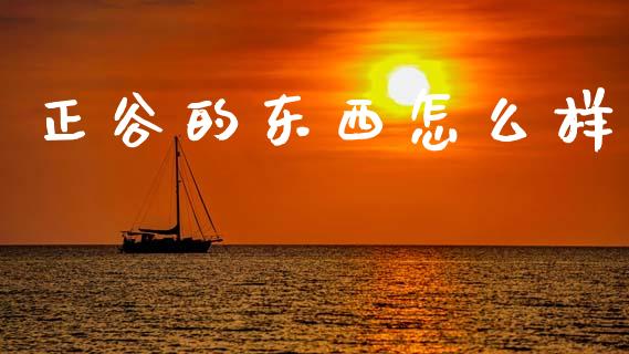 正谷的东西怎么样_https://wap.lxcailiao.com_融资担保_第1张