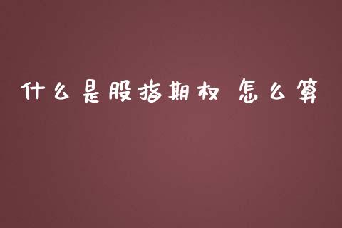 什么是股指期权 怎么算_https://wap.lxcailiao.com_股权投资_第1张