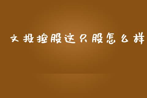 文投控股这只股怎么样_https://wap.lxcailiao.com_融资担保_第1张