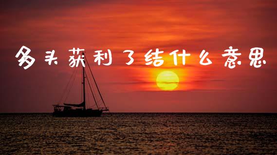 多头获利了结什么意思_财务管理_第1张_金融监管_融资担保_财务管理_股权投资 多头获利了结什么意思_https://wap.lxcailiao.com_财务管理_第1张