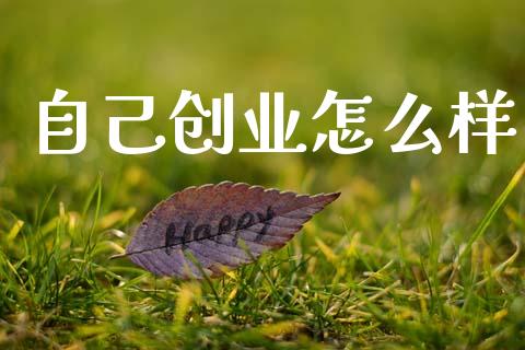 自己创业怎么样_财务管理_第1张_金融监管_融资担保_财务管理_股权投资 自己创业怎么样_https://wap.lxcailiao.com_财务管理_第1张