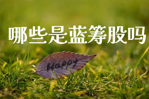 哪些是蓝筹股吗_https://wap.lxcailiao.com_财务管理_第1张