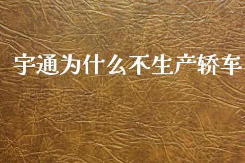 宇通为什么不生产轿车_https://wap.lxcailiao.com_财务管理_第1张
