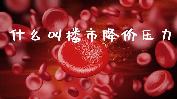 什么叫楼市降价压力_https://wap.lxcailiao.com_金融监管_第1张