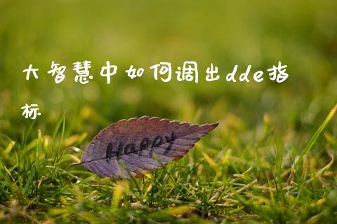 大智慧中如何调出dde指标_https://wap.lxcailiao.com_金融监管_第1张
