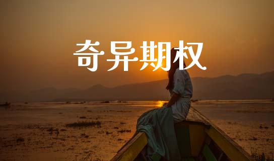 奇异期权_https://wap.lxcailiao.com_融资担保_第1张