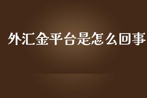 外汇金平台是怎么回事_https://wap.lxcailiao.com_财务管理_第1张