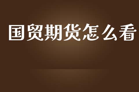 国贸期货怎么看_https://wap.lxcailiao.com_财务管理_第1张
