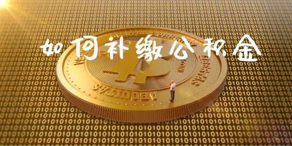如何补缴公积金_https://wap.lxcailiao.com_财务管理_第1张