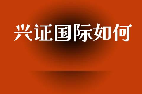 兴证国际如何_https://wap.lxcailiao.com_股权投资_第1张
