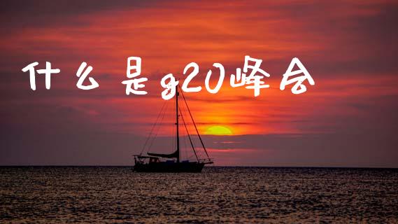 什么是g20峰会_https://wap.lxcailiao.com_财务管理_第1张