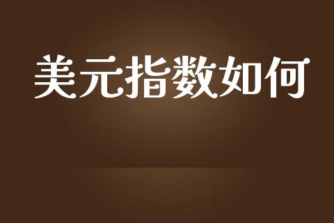 美元指数如何_https://wap.lxcailiao.com_金融监管_第1张