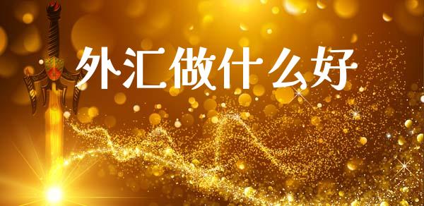 外汇做什么好_https://wap.lxcailiao.com_融资担保_第1张