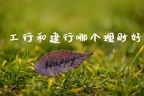 工行和建行哪个理财好_https://wap.lxcailiao.com_财务管理_第1张