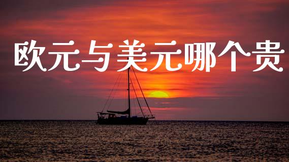 欧元与美元哪个贵_https://wap.lxcailiao.com_融资担保_第1张