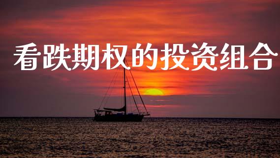 看跌期权的投资组合_https://wap.lxcailiao.com_金融监管_第1张