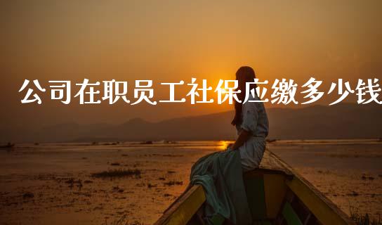 公司在职员工社保应缴多少钱_https://wap.lxcailiao.com_财务管理_第1张
