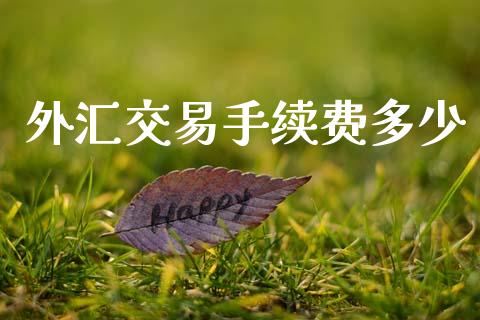 外汇交易手续费多少_https://wap.lxcailiao.com_财务管理_第1张