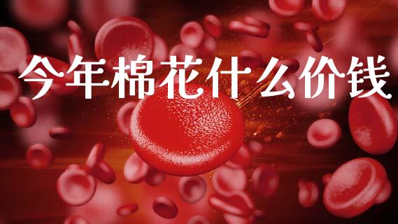 今年棉花什么价钱_财务管理_第1张_金融监管_融资担保_财务管理_股权投资 今年棉花什么价钱_https://wap.lxcailiao.com_财务管理_第1张