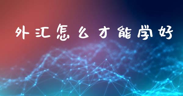 外汇怎么才能学好_https://wap.lxcailiao.com_股权投资_第1张