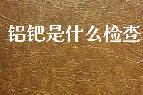 铝钯是什么检查_https://wap.lxcailiao.com_融资担保_第1张