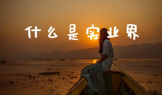 什么是实业界_https://wap.lxcailiao.com_金融监管_第1张