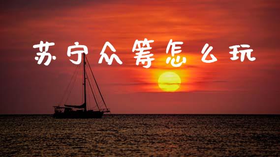 苏宁众筹怎么玩_https://wap.lxcailiao.com_股权投资_第1张