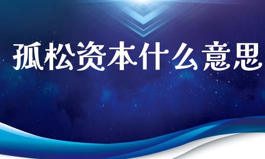 孤松资本什么意思_https://wap.lxcailiao.com_财务管理_第1张