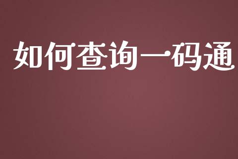 如何查询一码通_https://wap.lxcailiao.com_金融监管_第1张